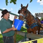 2017OTRA-1_507 (August 24, 2017)